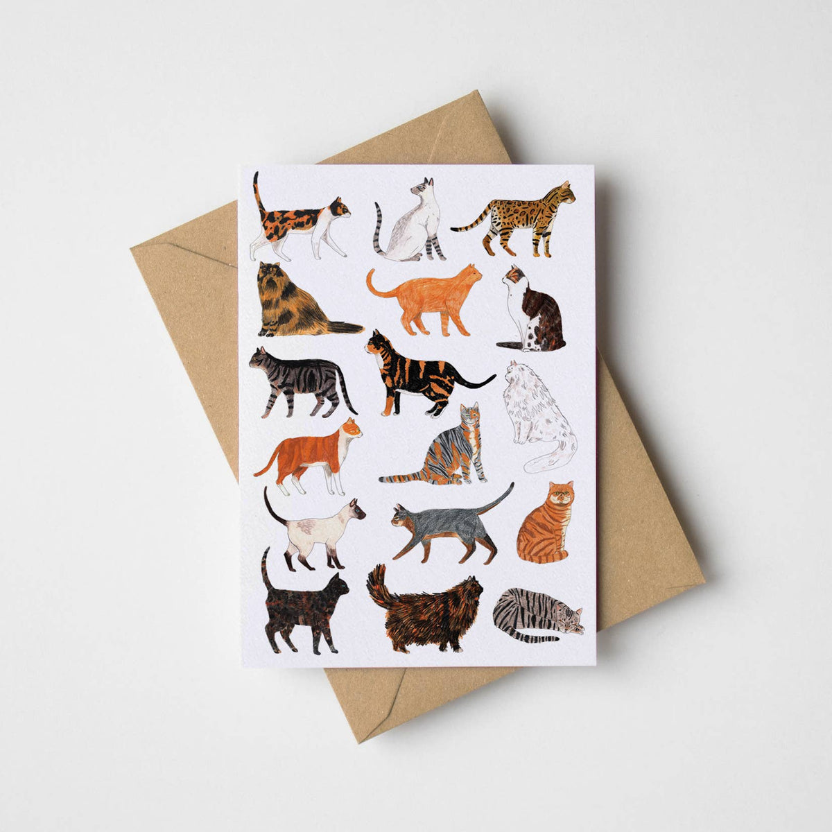 Cats Greeting Card