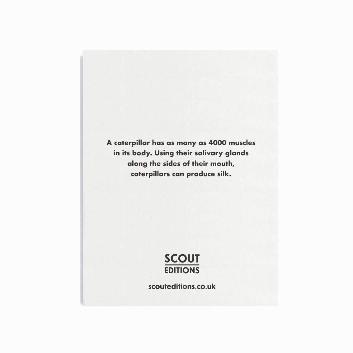 Caterpillar Mini Card