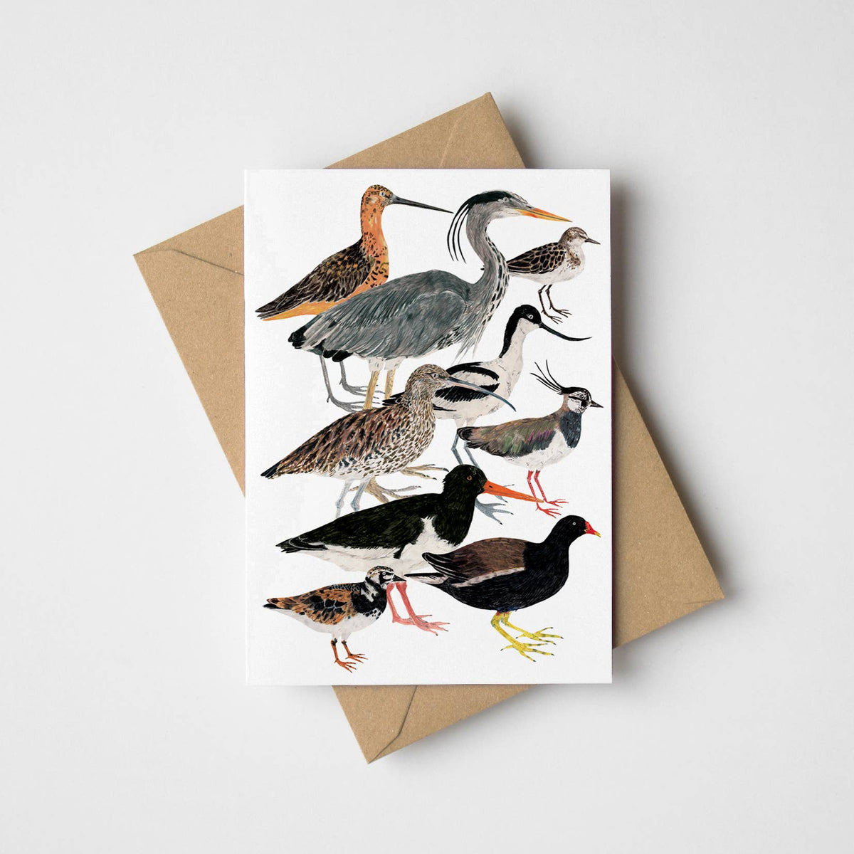 Wading Birds Greeting Card