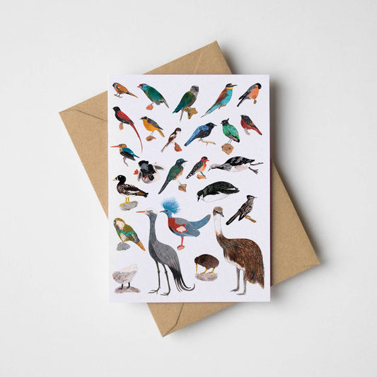 Birds Greeting Card
