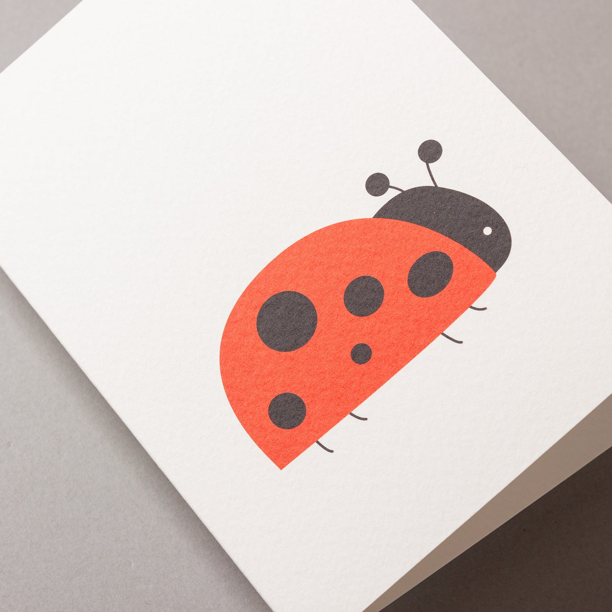 Bright Red Ladybird