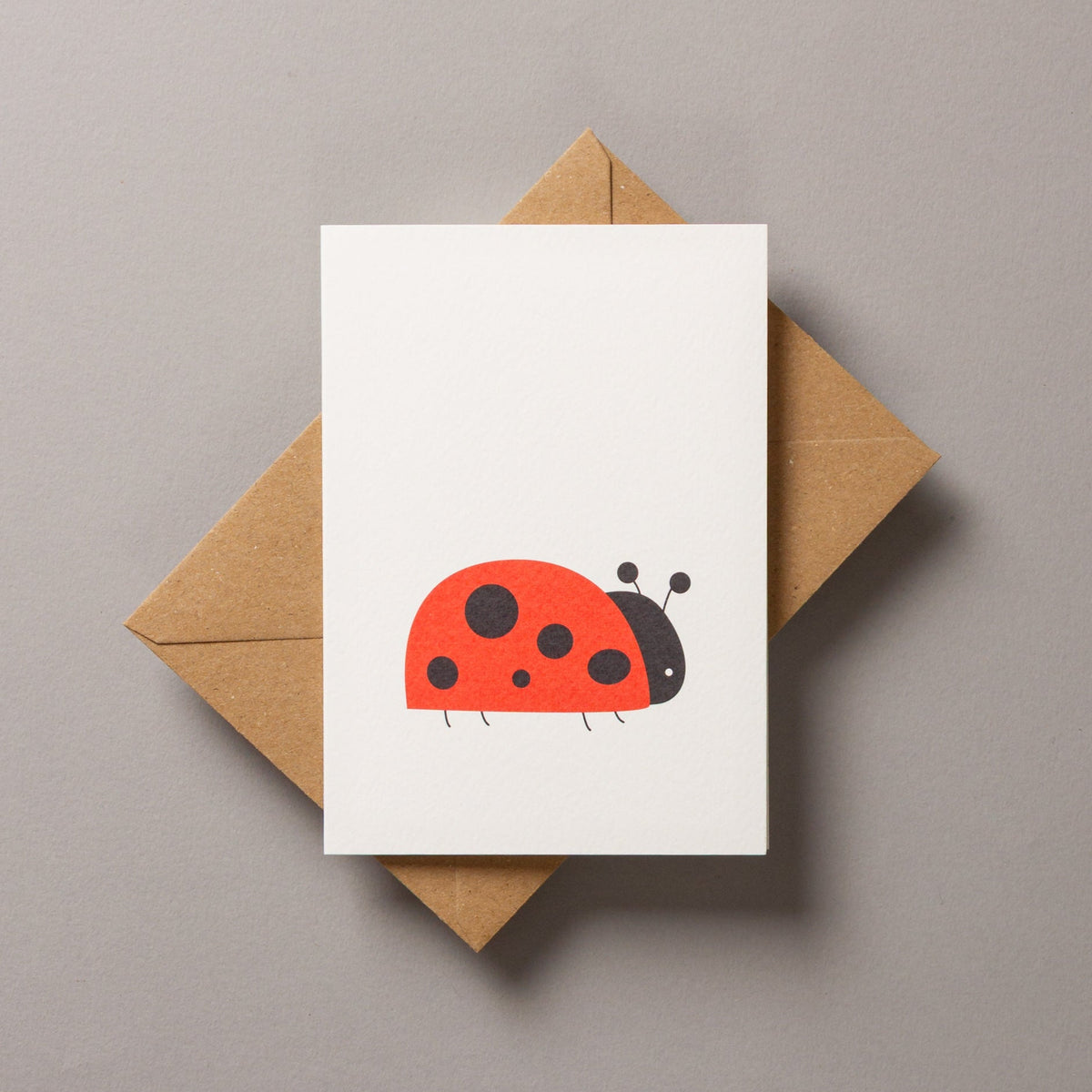 Bright Red Ladybird